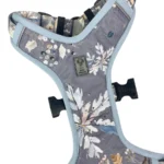 DOG-AHEAD-szelki-bezuciskowe-DECEMBER-02