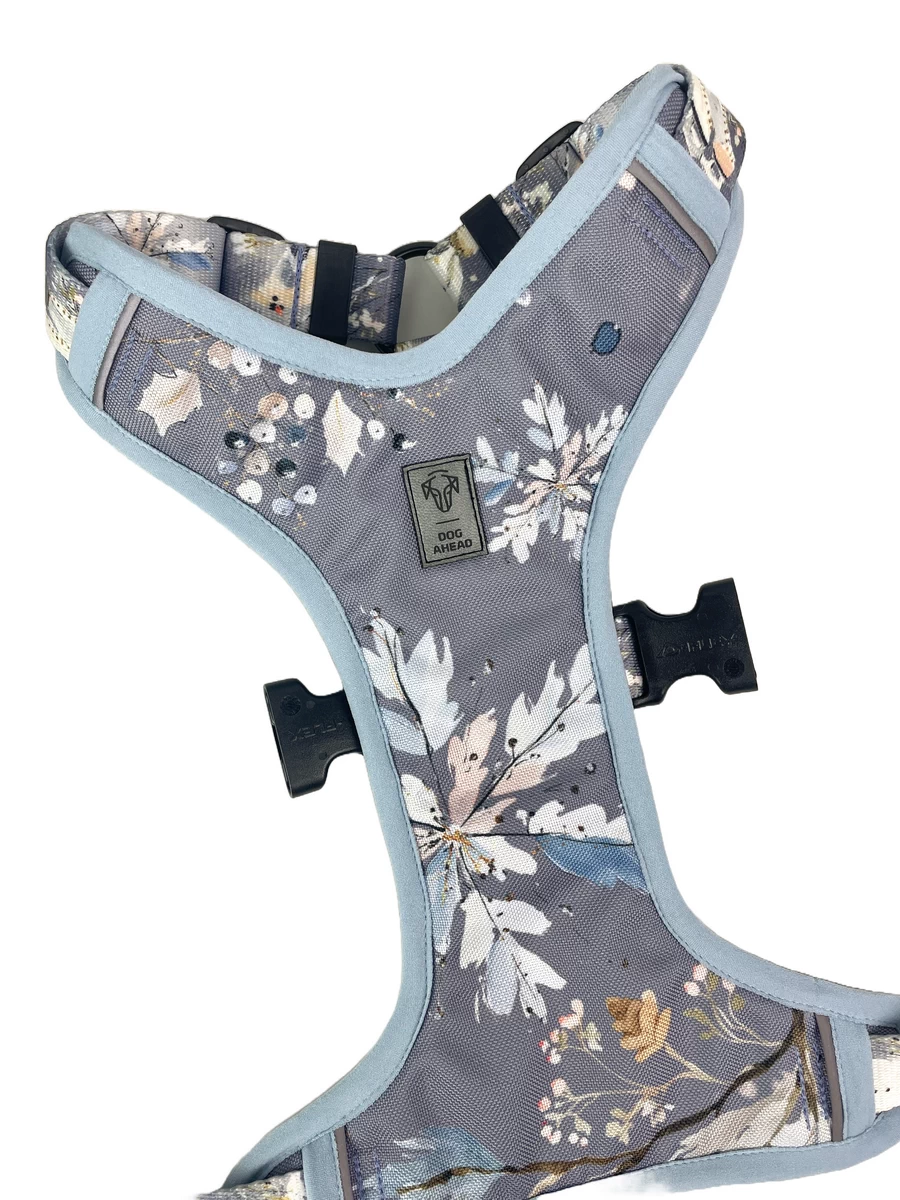 DOG-AHEAD-szelki-bezuciskowe-DECEMBER-02