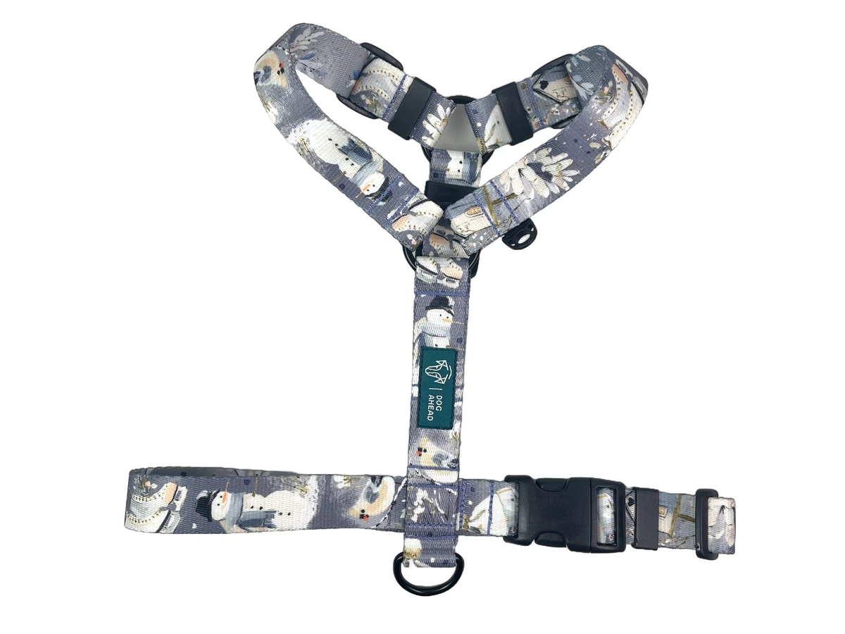 DOG-AHEAD-szelki-guard-DECEMBER-DAY-02