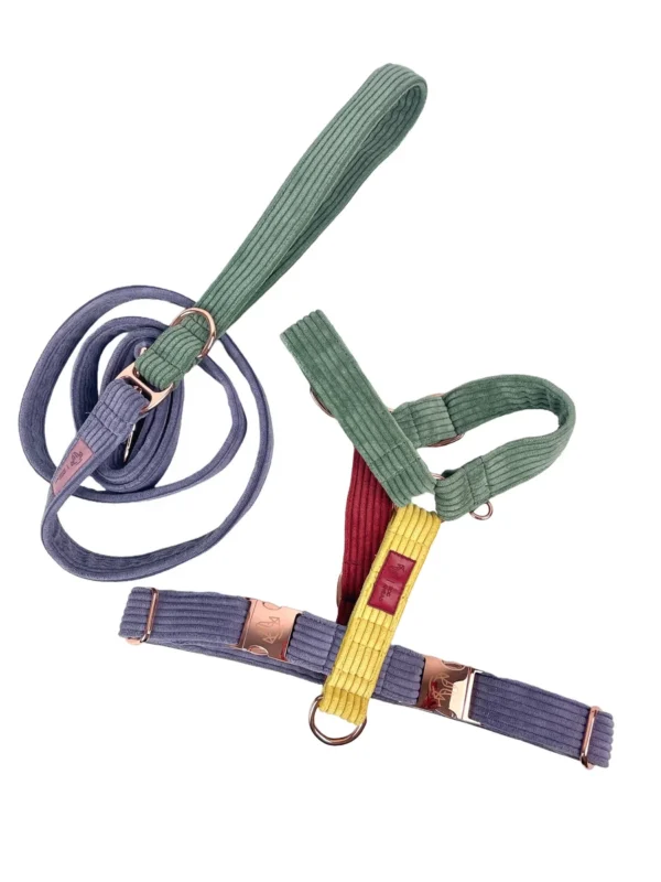 Zestaw BACK TO 70s Mix Smycz 180cm | 25mm + Szelki M | 25mm