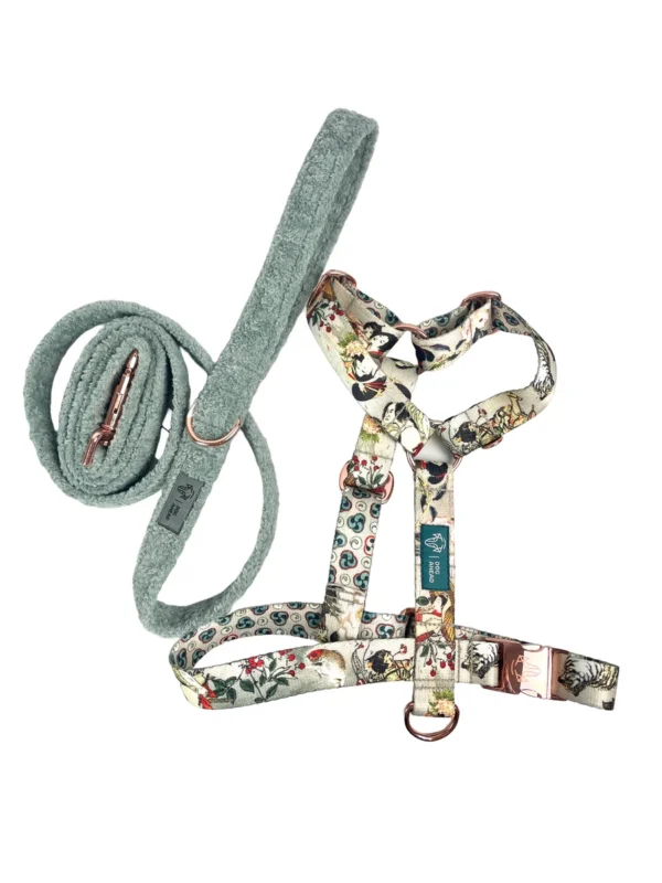 Zestaw RETRO ASAMI Smycz 180cm | 25mm + Szelki rozmiar M | 25mm