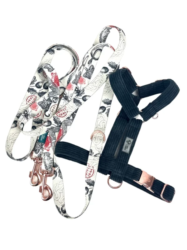 Zestaw ROYAL SHADOW Smycz 300cm | 25mm + Szelki rozmiar M | 25mm