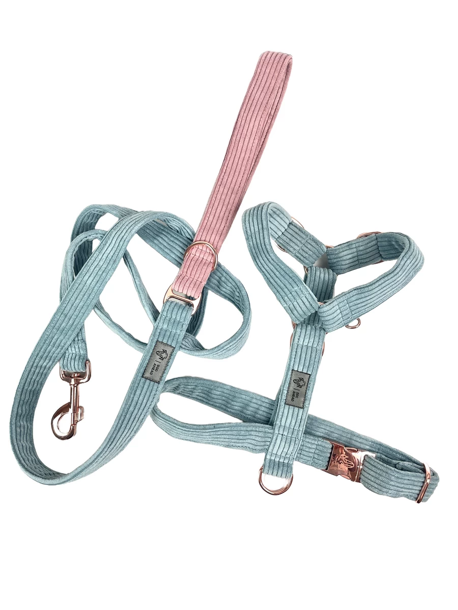 DOG-AHEAD-zestaw-XMAS-BLUE-PINK-CORDUROY