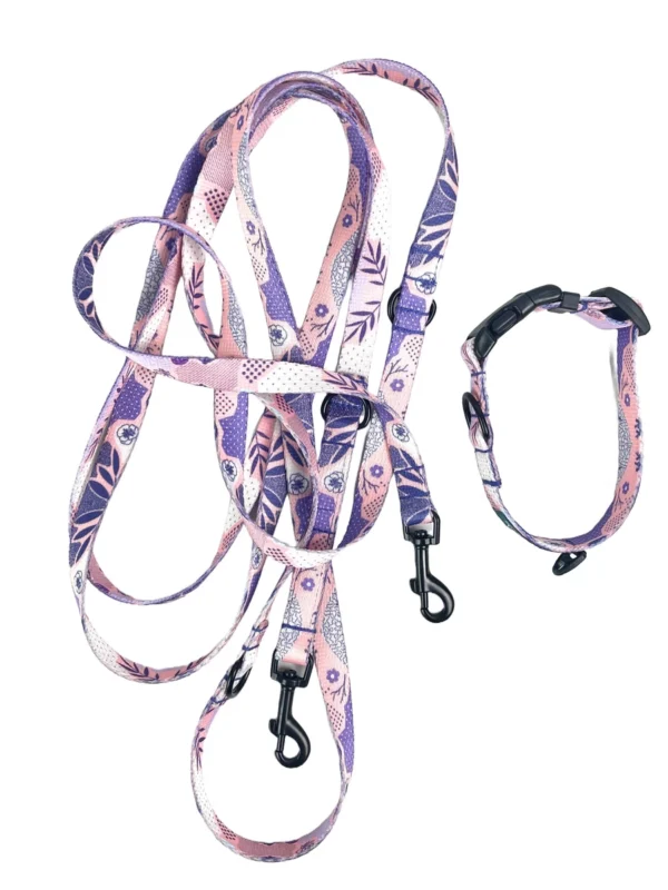 Zestaw CANDY JUNGLE Smycz 300cm | 15mm + Obroża rozmiar XS | 20mm