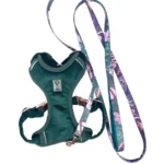 DOG-AHEAD-zestaw-XMAS-COSMIC-BOHO