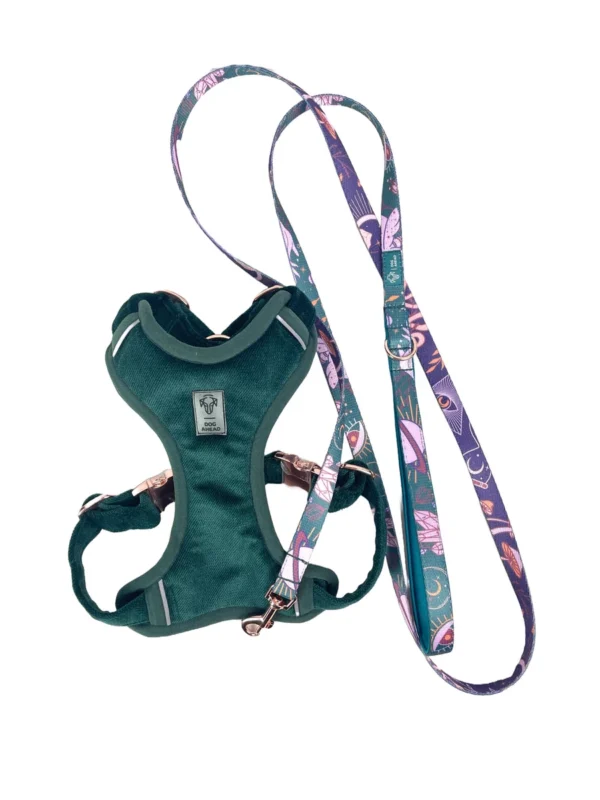 Zestaw COSMIC BOHO Smycz 180cm | 15mm + Szelki rozmiar S | 20mm