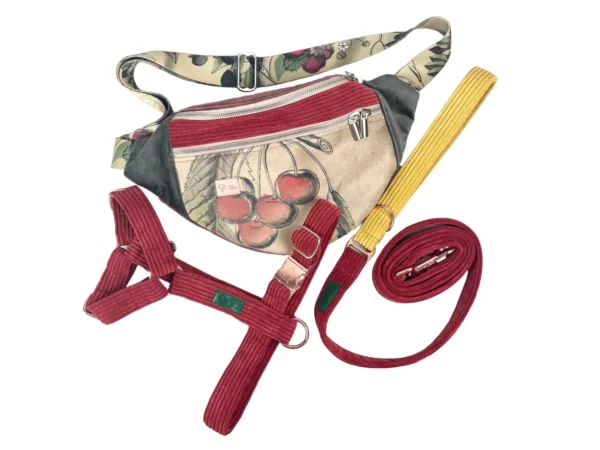 Zestaw DOG'n'MUM COUNTRYSIDE SMYCZ 180cm | 25mm + SZELKI rozmiar M | 25mm + Torebka/Nerka