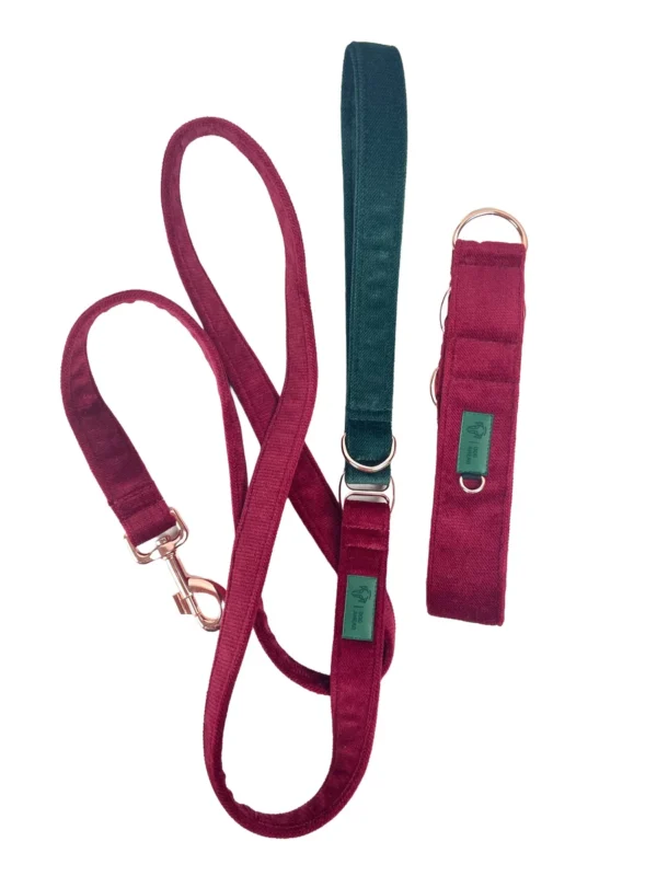 Zestaw RUBY BOHO Smycz 180cm | 25mm + Obroża rozmiar M | 40mm