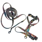 DOG-AHEAD-zestaw-XMAS-SPIRITUAL-XS