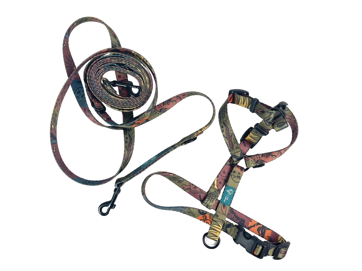 DOG-AHEAD-zestaw-XMAS-SPIRITUAL-XS