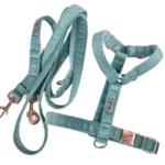 DOG-AHEAD-zestaw-XMAS-SUMMER-VELVET