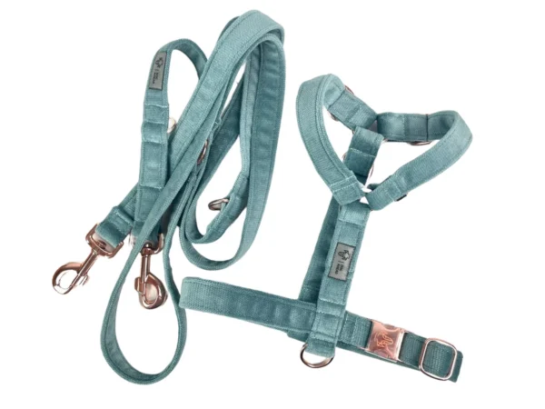 Zestaw VELVET SUMMER AZZURE Smycz 220cm | 25mm + Szelki rozmiar M | 25mm