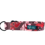 DOG-AHEAD-obroża-dla-charta-AMOUR-STORY (1)