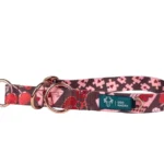 DOG-AHEAD-obroża-półzaciskowa-AMOUR-STORY (1)