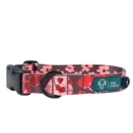 DOG-AHEAD-obroża-z-klamrą-AMOUR-STORY (1)