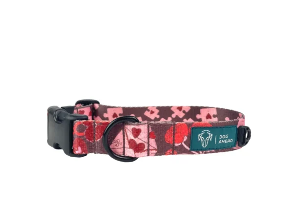 Obroża z klamrą AMOUR / STORY