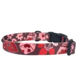 DOG-AHEAD-obroża-z-klamrą-AMOUR-STORY