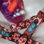 DOG-AHEAD-obroża-z-klamrą-AMOUR-STORY