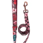 DOG-AHEAD-smycz-miejska-AMOUR (3)