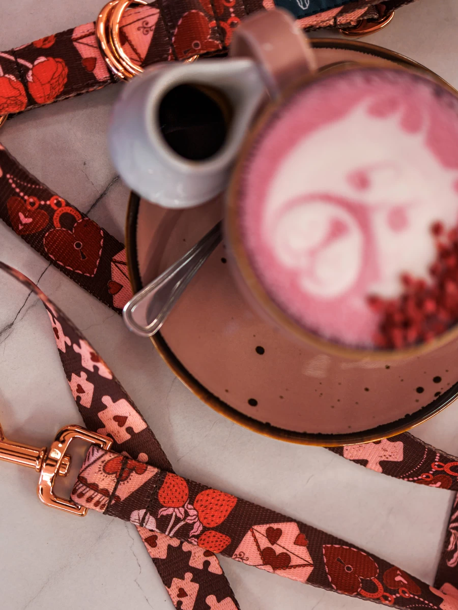 DOG-AHEAD-smycz-miejska-AMOUR (4)