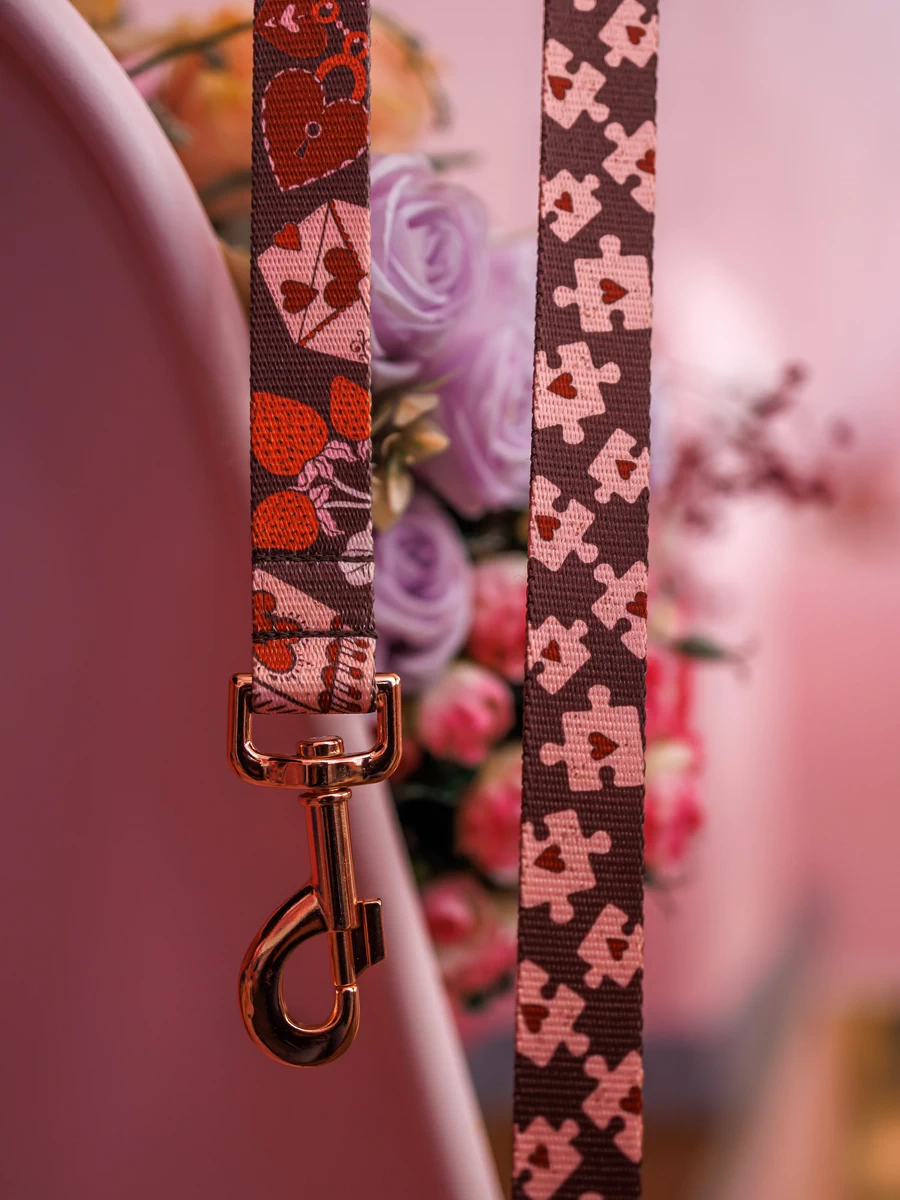 DOG-AHEAD-smycz-miejska-AMOUR (6)