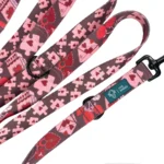 DOG-AHEAD-smycz-przepinana-AMOUR (2)_1