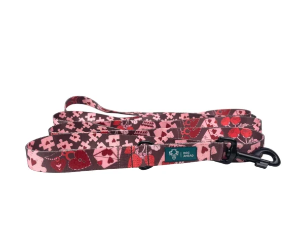 DOG AHEAD smycz przepinana AMOUR