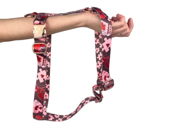 Szelki guard AMOUR / STORY