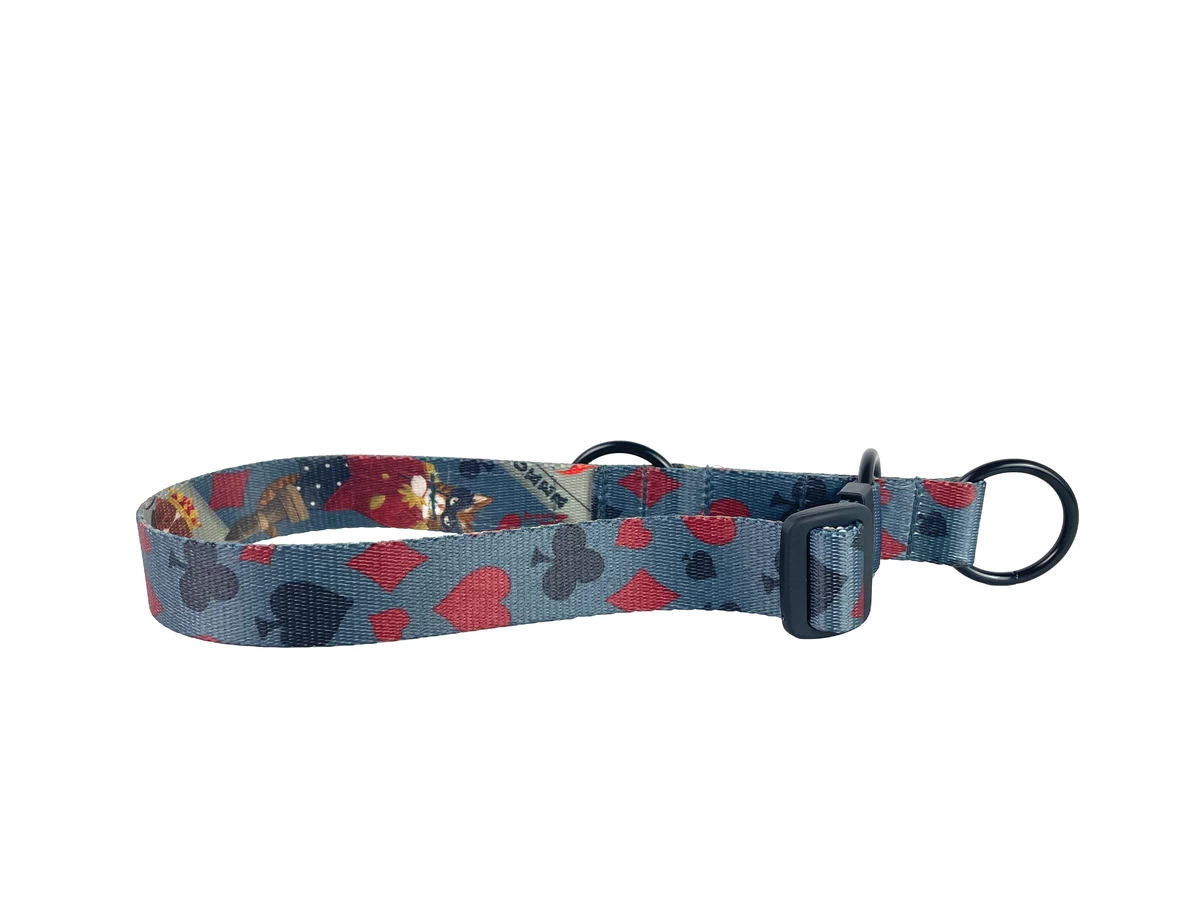 obroza polzaciskowa dla psa POKER SUITS