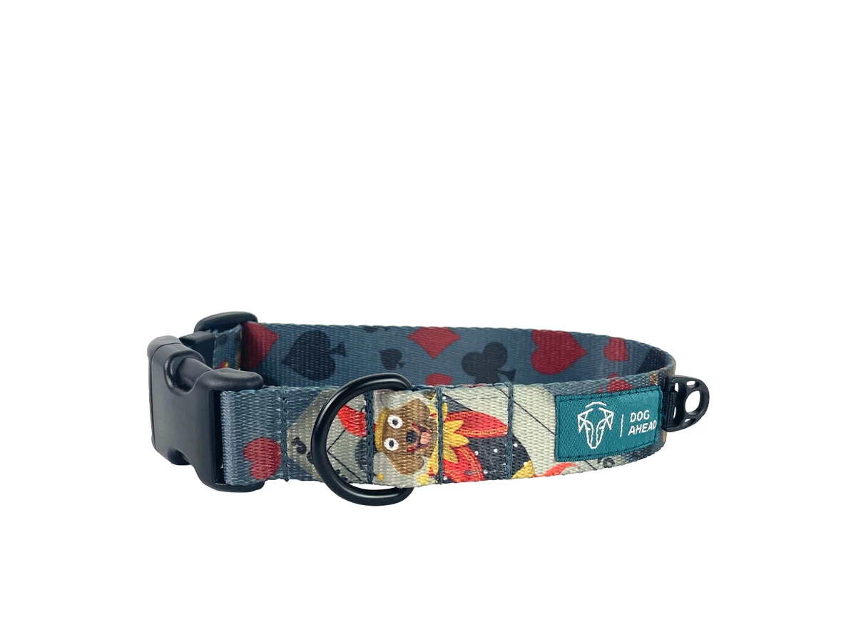 obroża z klamrą POKER DOGS