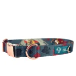 obroża z klamrą POKER SUITS