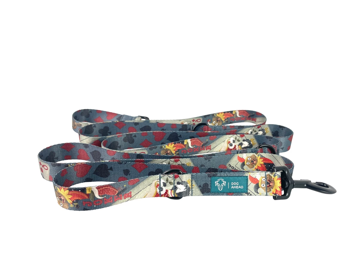 smycz przepinana POKER | DOG AHEAD