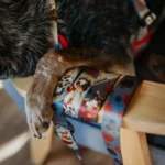 smycz przepinana POKER | DOG AHEAD