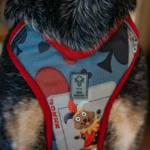 szelki bezuciskowe dla psa POKER | DOG AHEAD