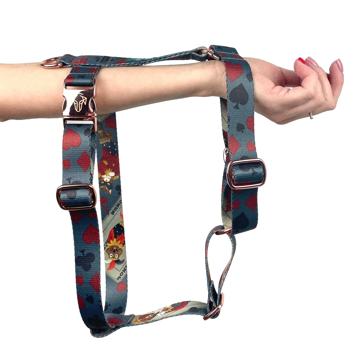 Szelki guard POKER SUITS | DOG AHEAD