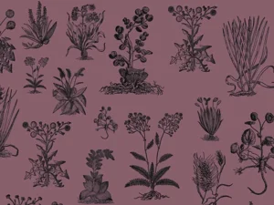 BOTANICA