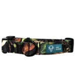 DOG-AHEAD-obroza-z-klamrka-WHISPER-01