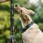 DOG-AHEAD-smycz-miejska-WHISPER (1)