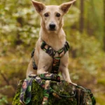 DOG-AHEAD-szelki-guard-WHISPER (1)